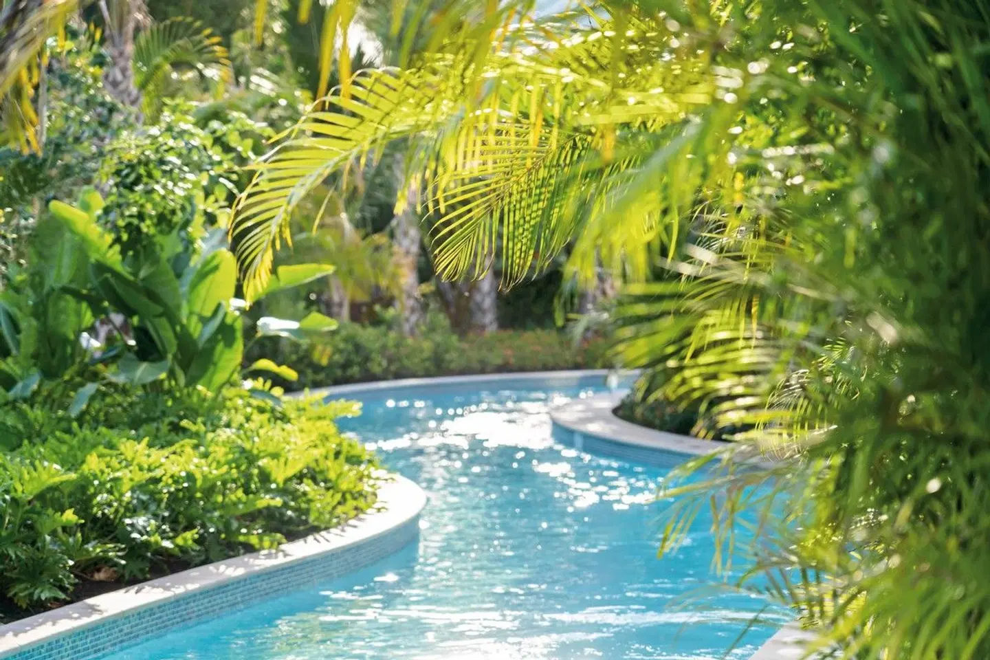 The Ritz-Carlton Naples, Tiburón OUTDOOR_POOL