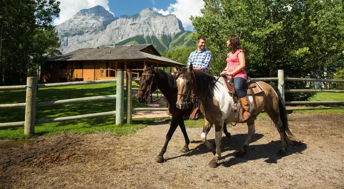 Mount Kidd Manor Tiere