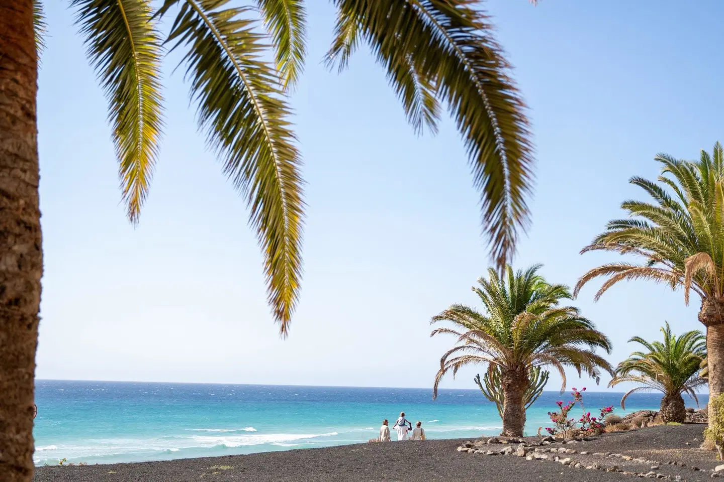 Iberostar Waves Gaviotas Park BEACH