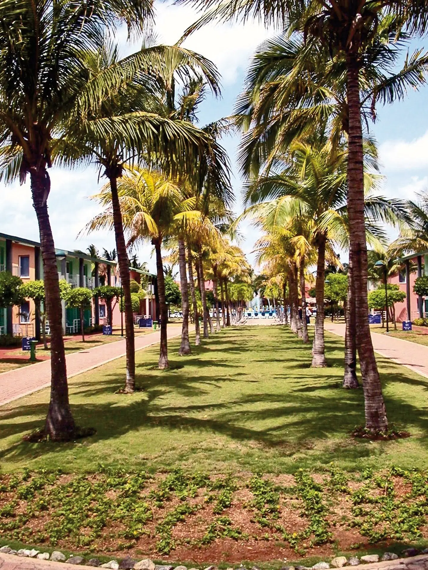 Sol Hicacos Varadero Garten