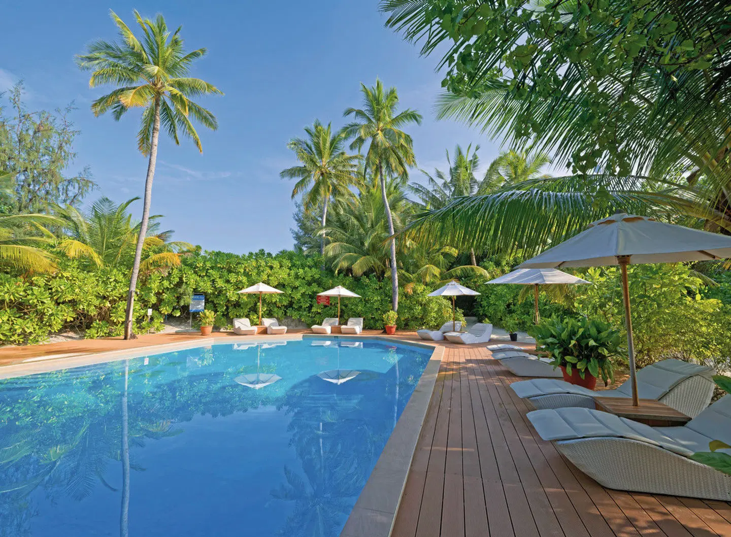 Safari Island Resort & Spa OUTDOOR_POOL