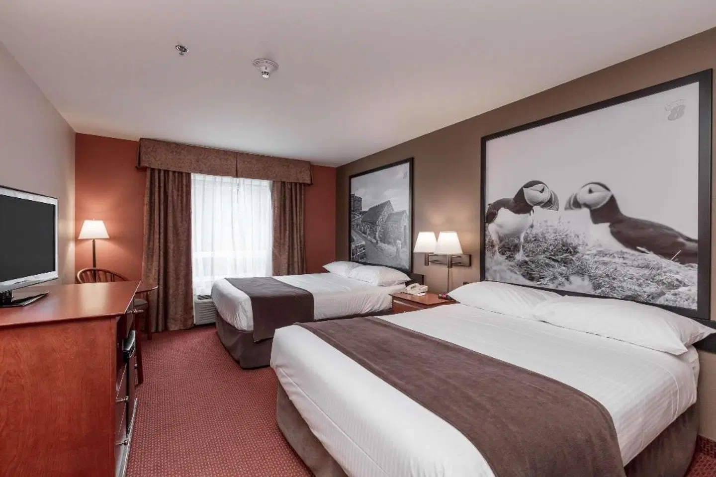 Super 8 by Wyndham St Johns ROOM_EXAMPLE