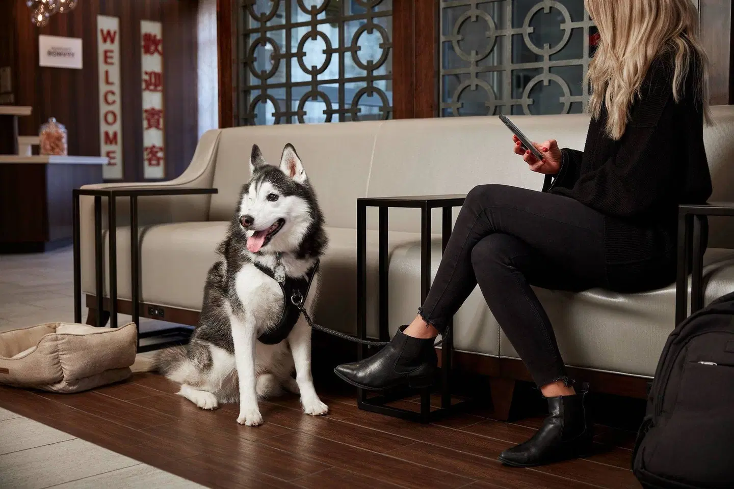 Fairfield Inn & Suites by Marriott Washington, DC/Downtown Tiere