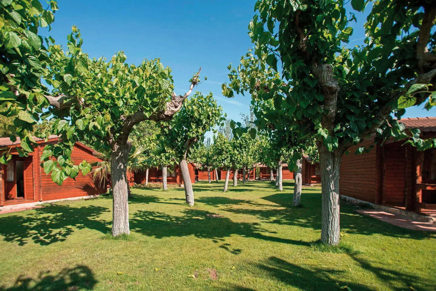 Camping La Llosa Garten