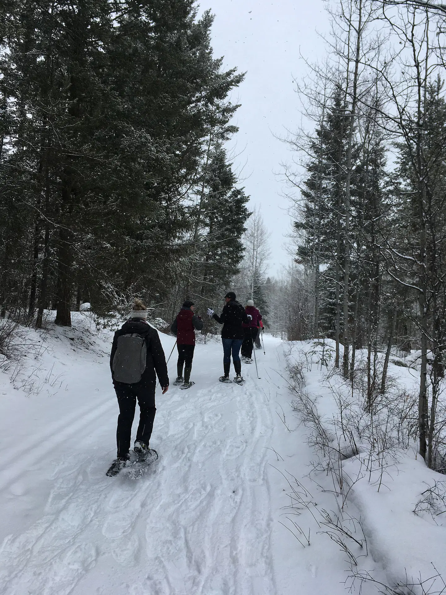 Spruce Hill Resort & Spa LANDSCAPE