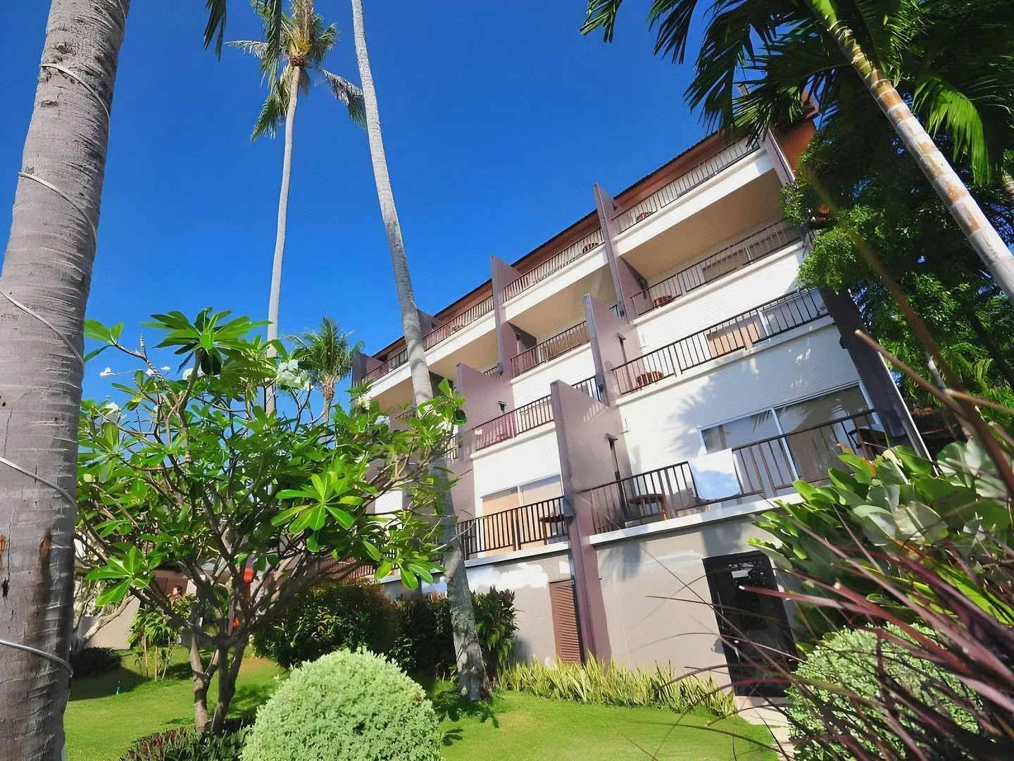 Thai Fight Hotel EXTERIOR