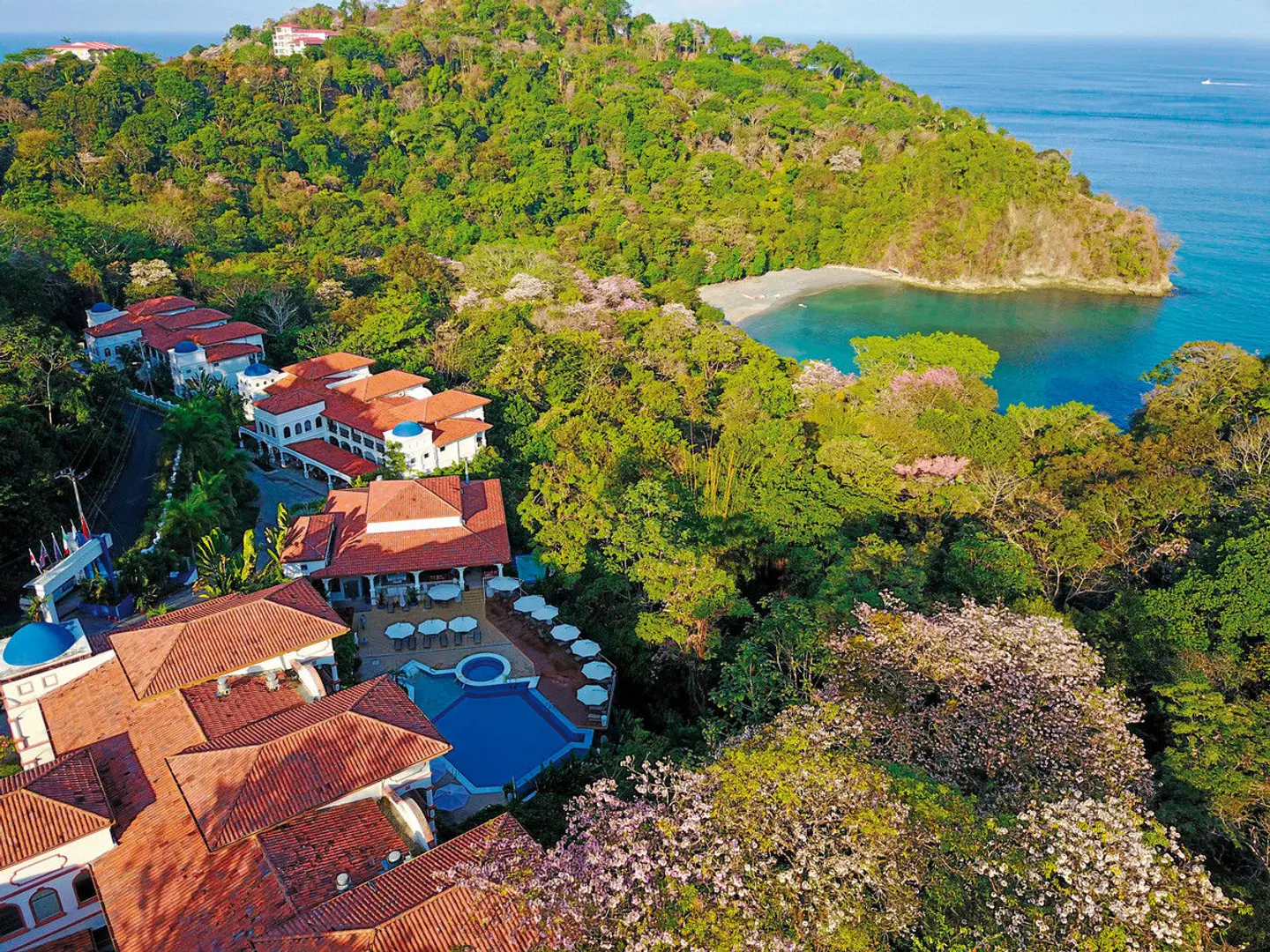 Shana by the Beach Manuel Antonio LANDSCAPE