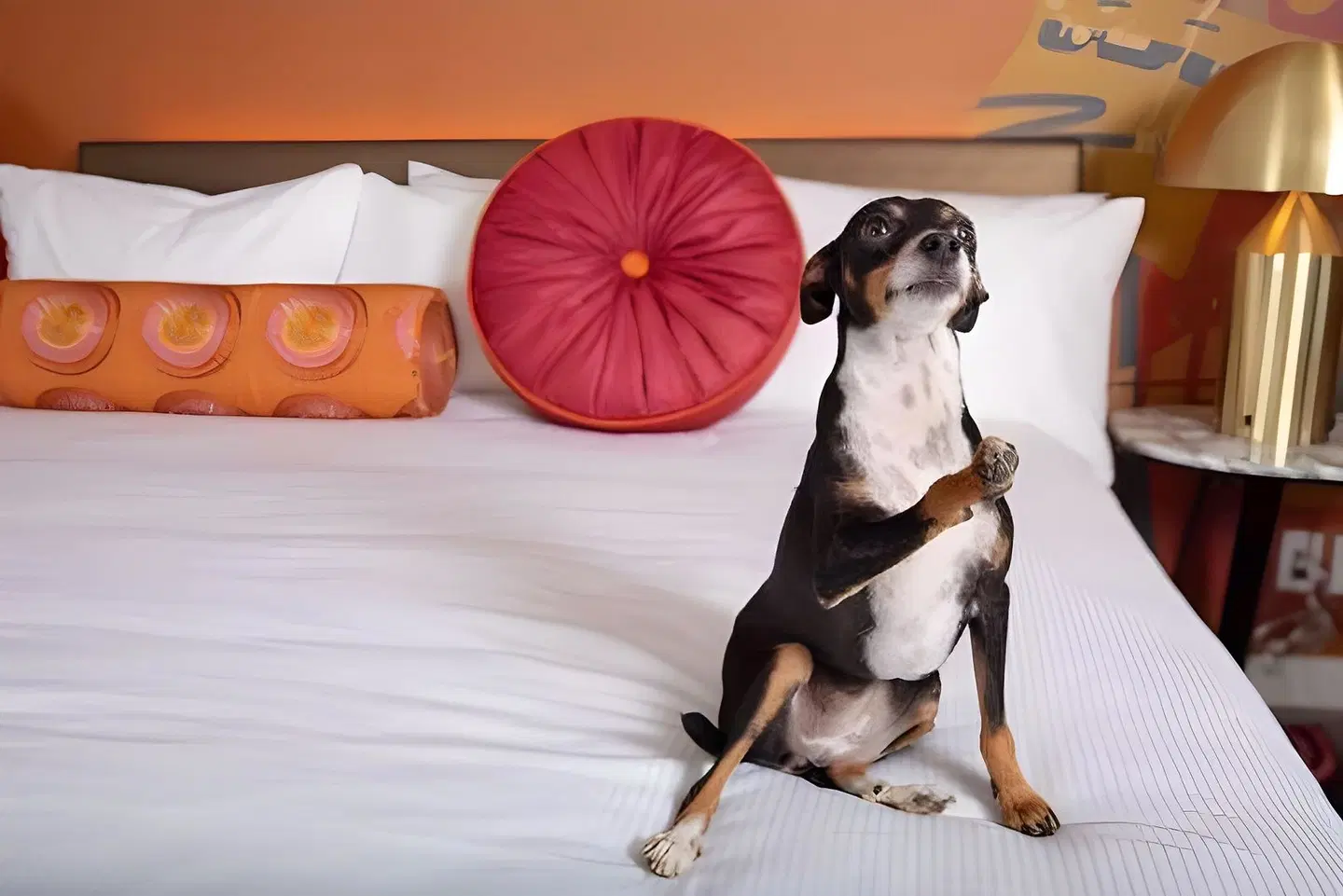 Versante Hotel PEOPLE