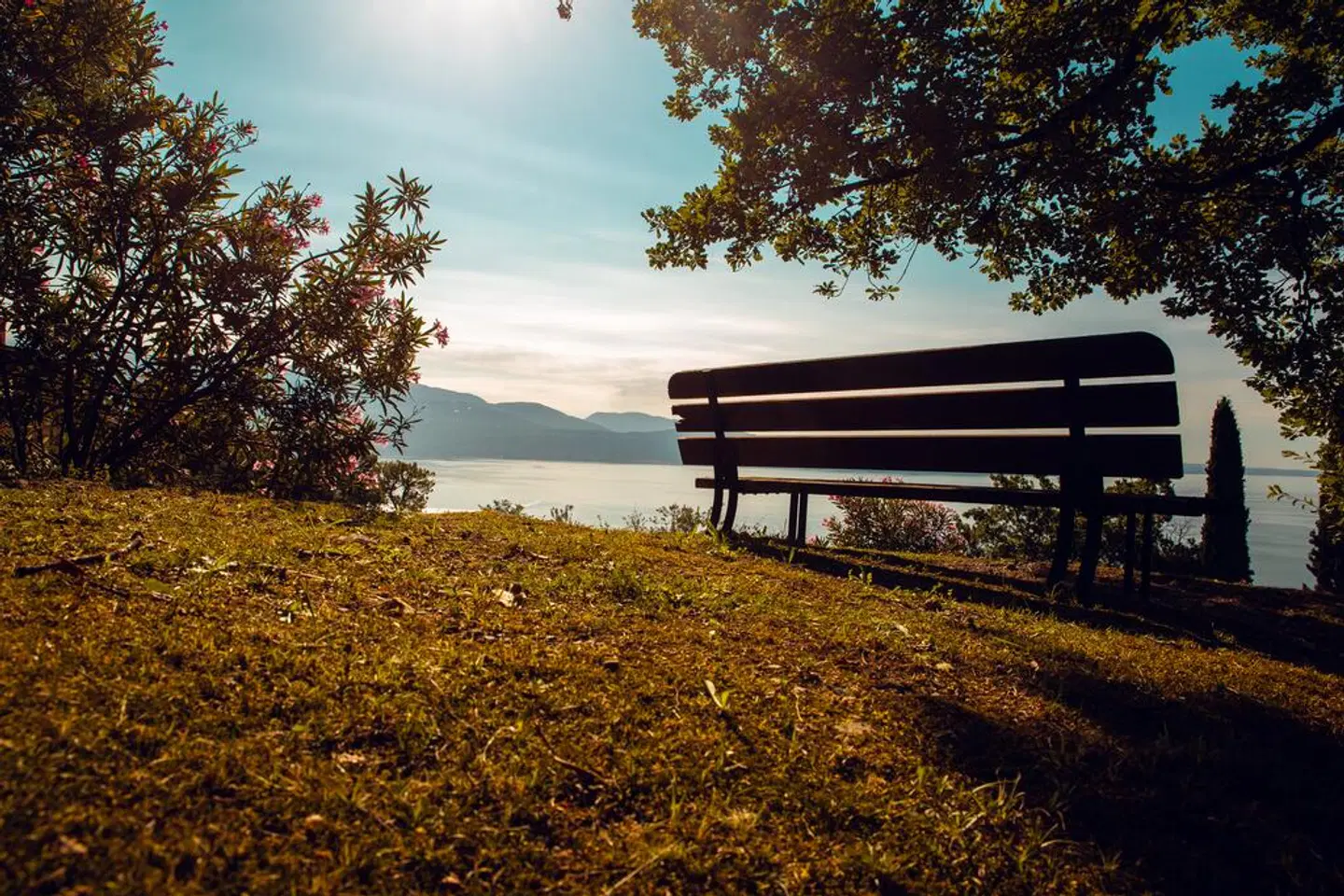 Domina Borgo degli Ulivi LANDSCAPE