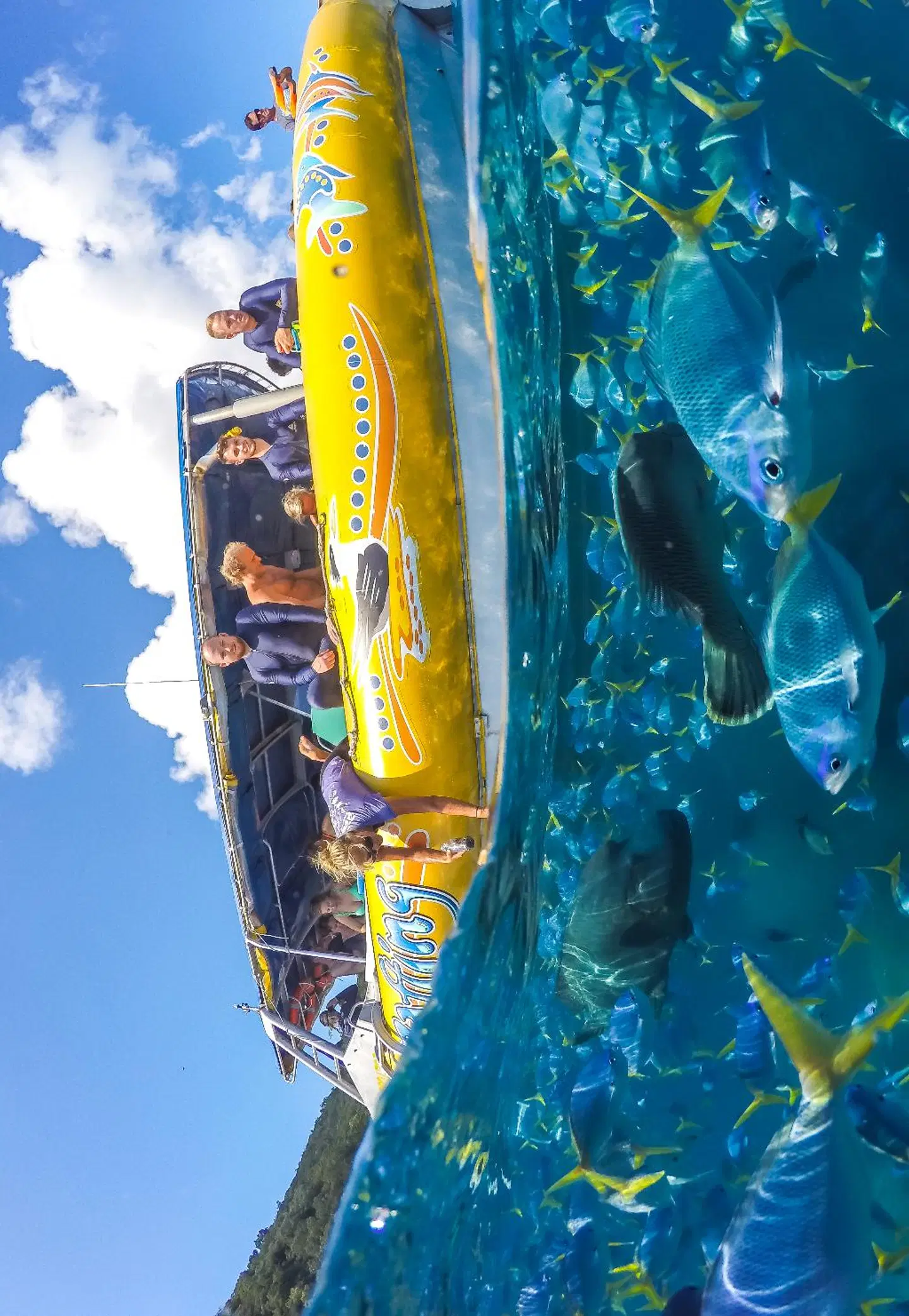 at Marina Shores SPORTS_AND_LEISURE