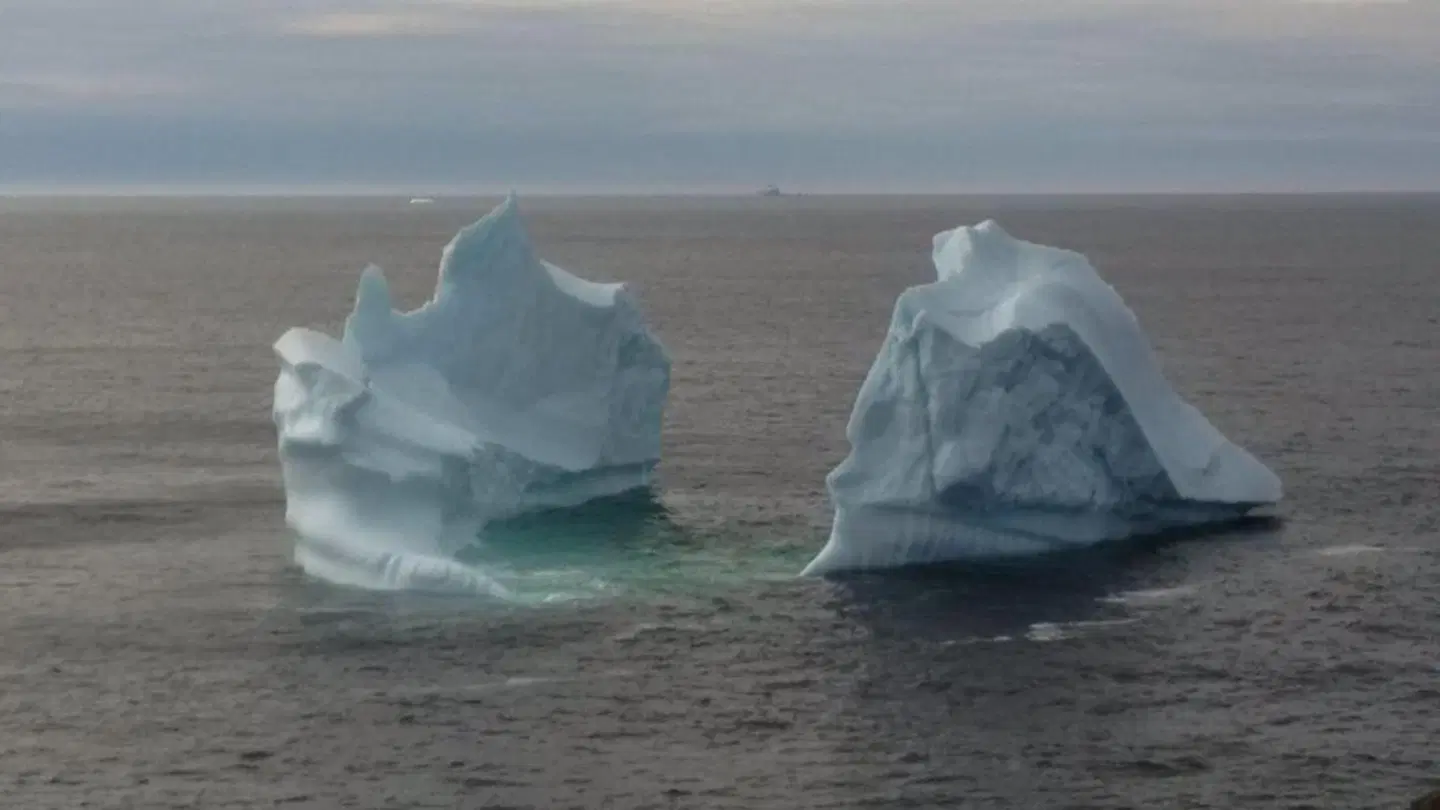 Grenfell Heritage Hotel & Suites Tiere