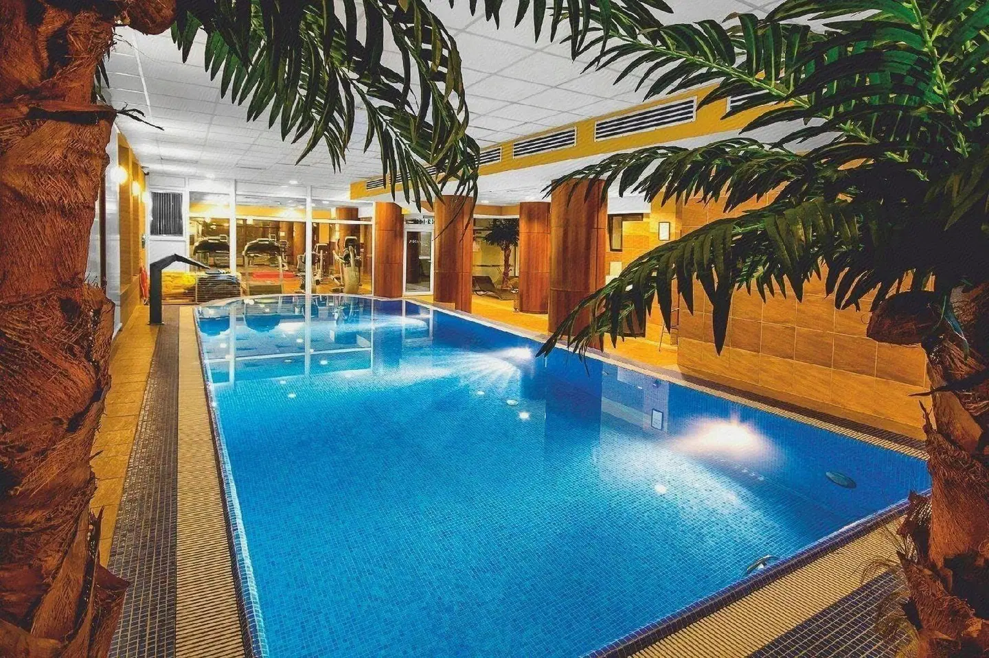 Hotel Grand Royal Hallenbad