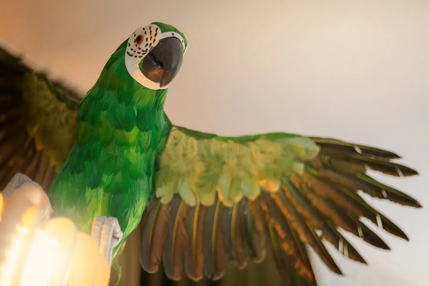 the niu Crusoe HEALTH_BEAUTY