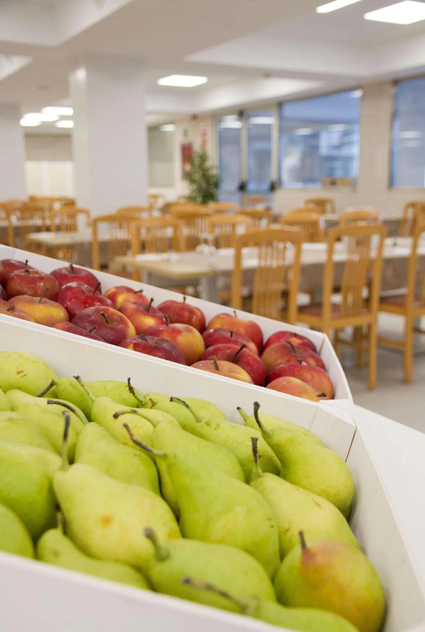 ALEGRIA Fenals Mar Restaurant