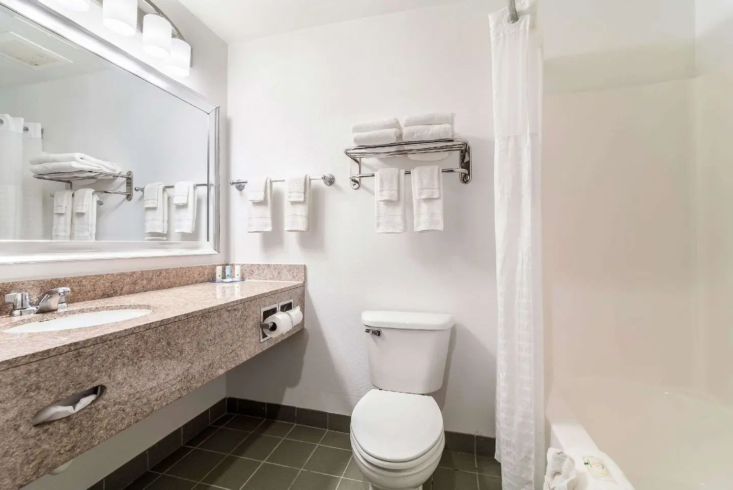 Quality Inn & Suites Augusta I-20 Badezimmer