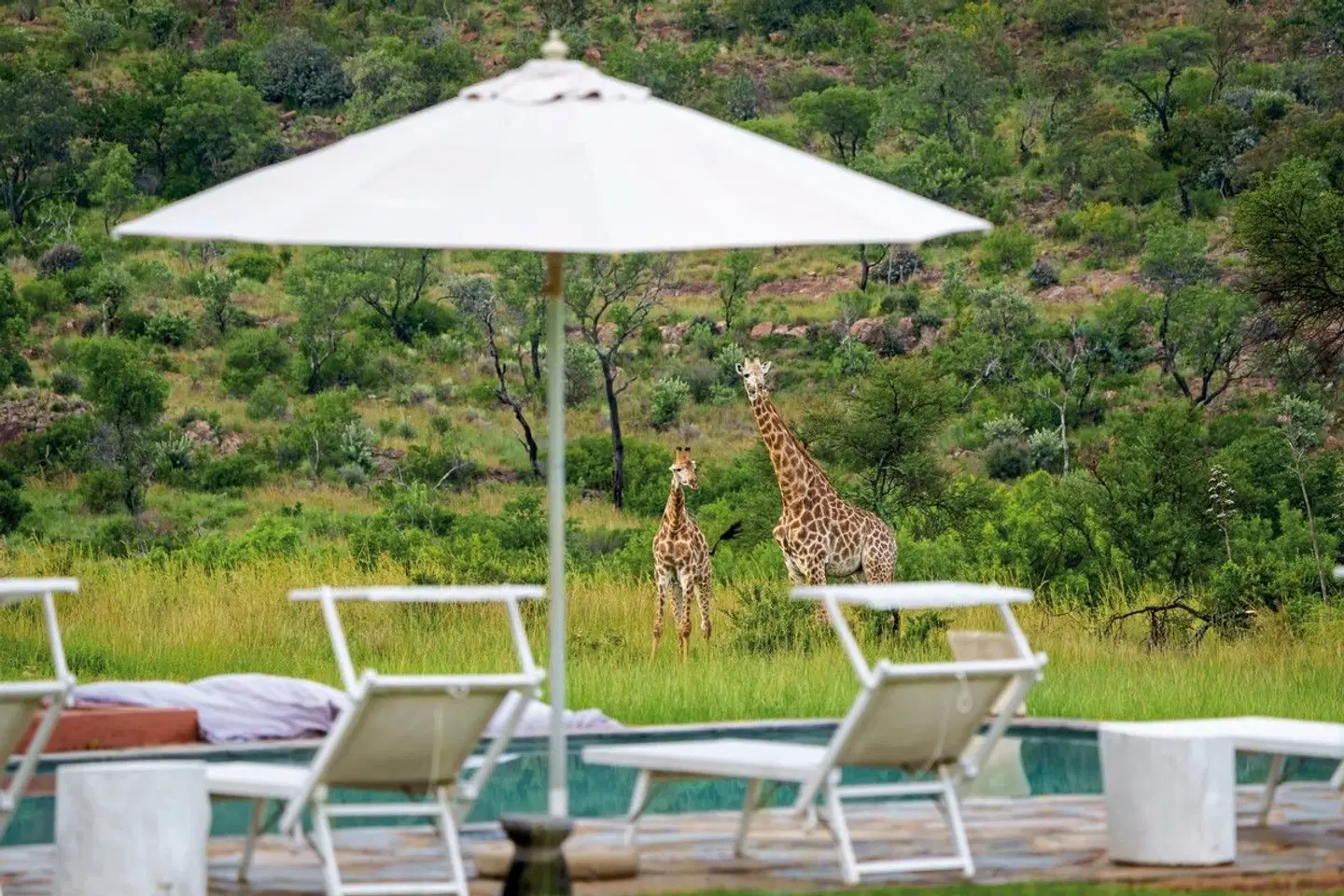 Zebras Crossing Lodge Garten
