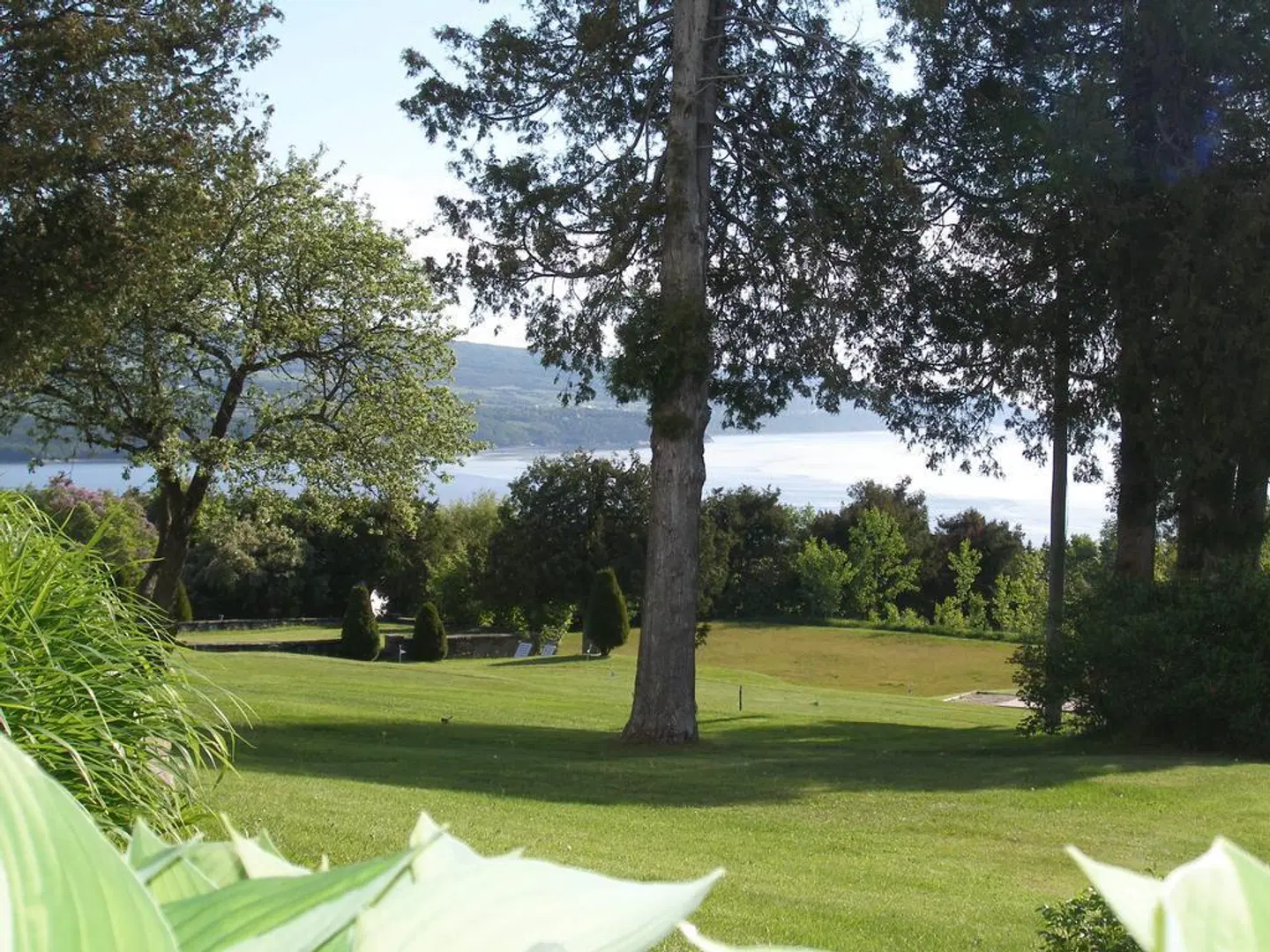 Auberge Des 3 Canards Garten