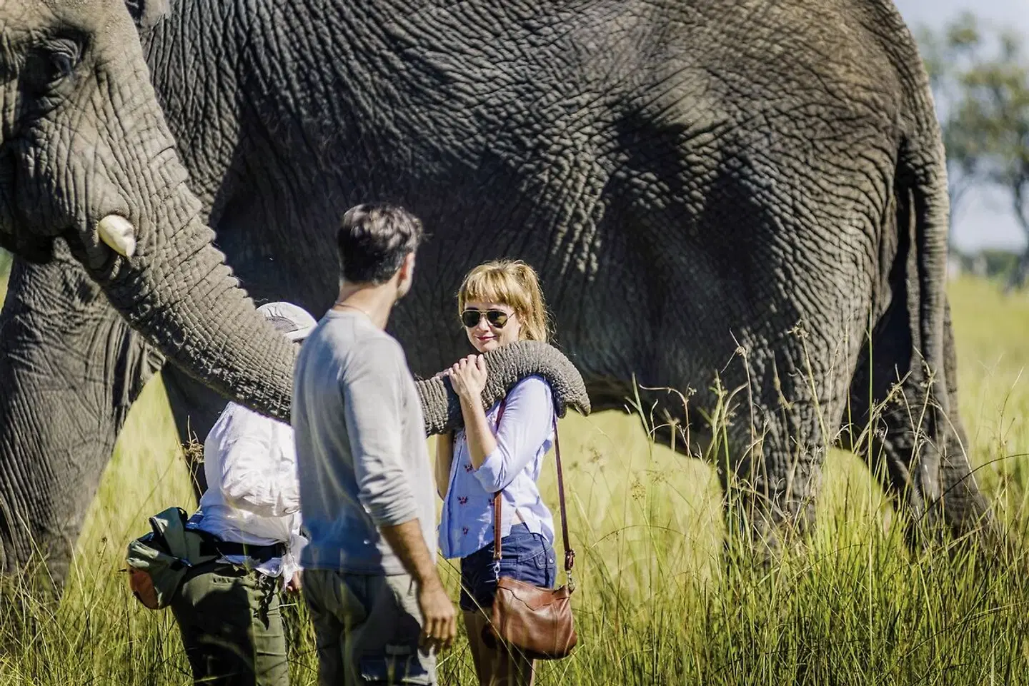 Sanctuary Stanley's Camp Tiere