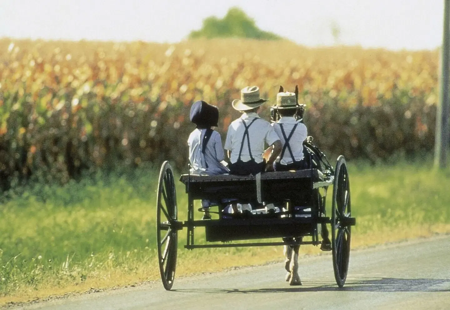 Niagarafälle, Outlet Shopping, Philadelphia & Washington, DC (4 Tage) SPORTS_AND_LEISURE