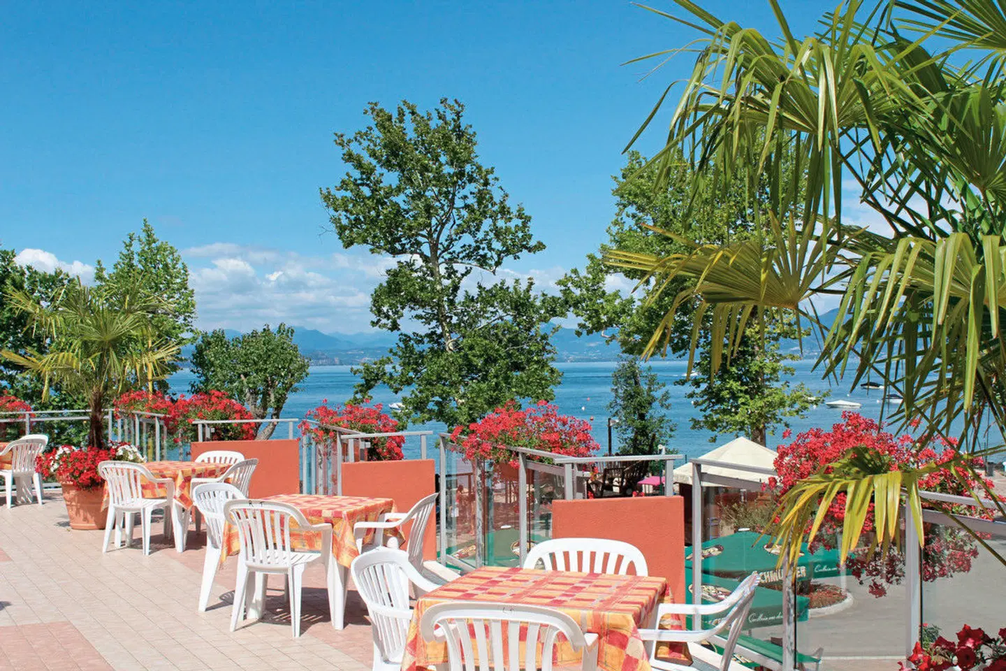 Camping Cisano & San Vito (by Happy Camp) Terrasse