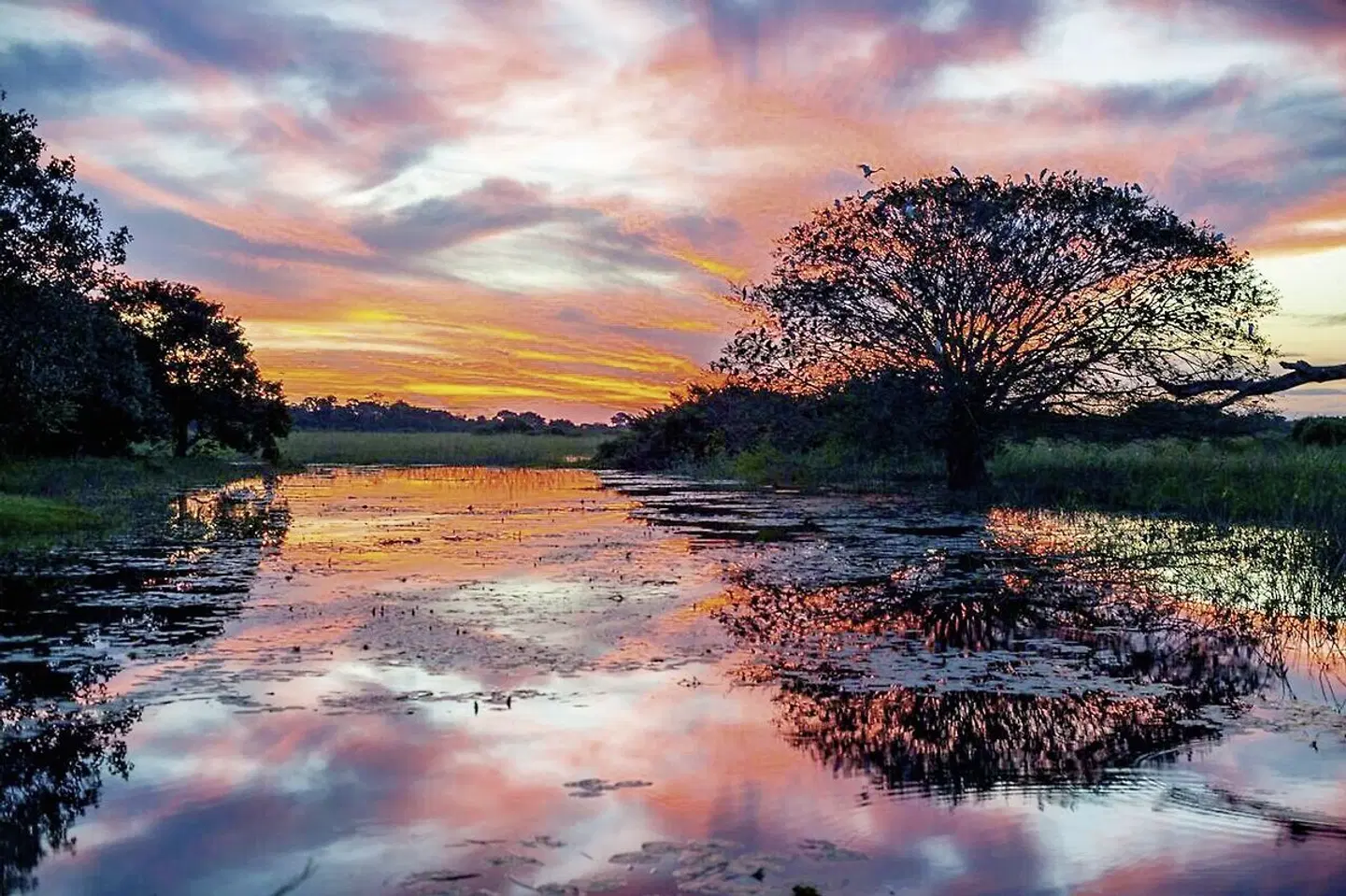 Unberührte Natur - Pantanal Araras Eco Lodge LANDSCAPE