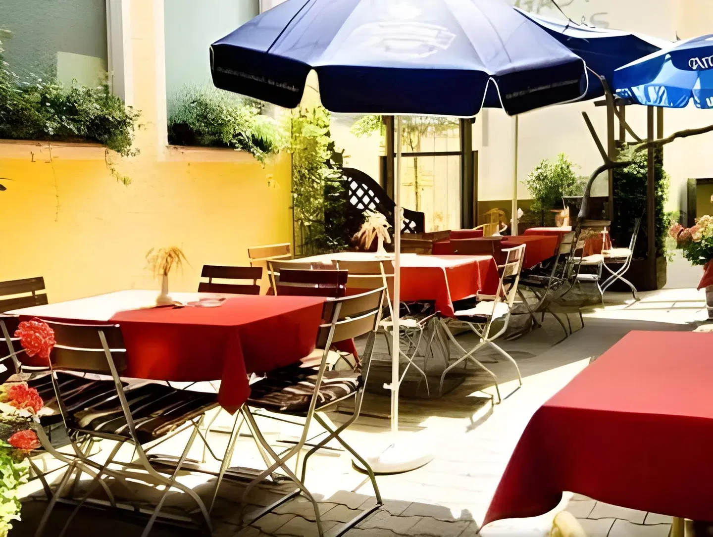 Bayerischer Löwe Terrasse