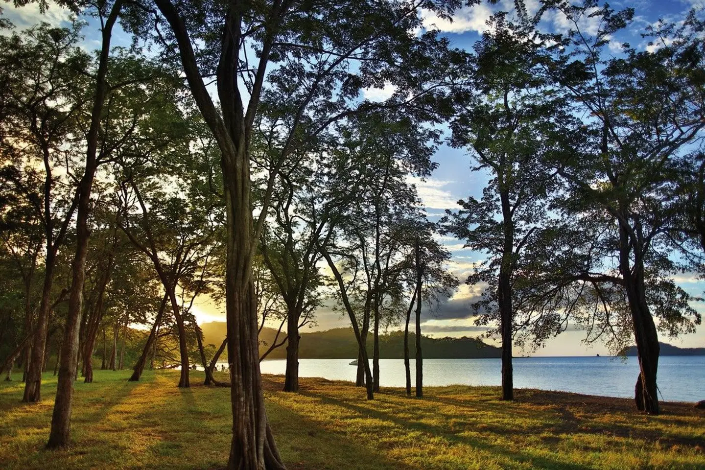 El Mangroove, Autograph Collection LANDSCAPE