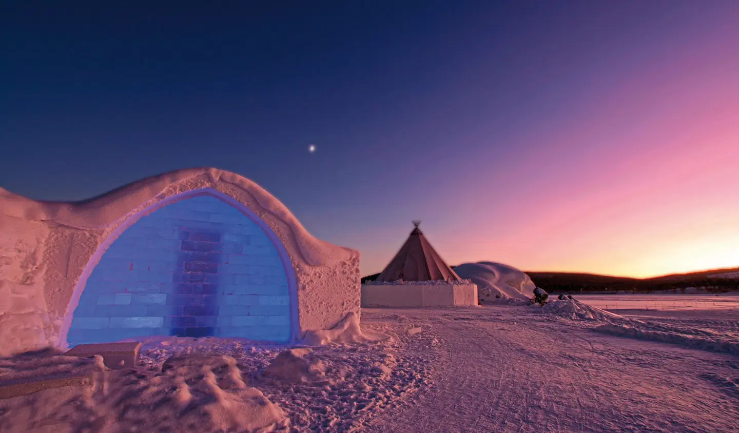 Arktische Highlights - Vom Eismeer zum ICEHOTEL Tiere