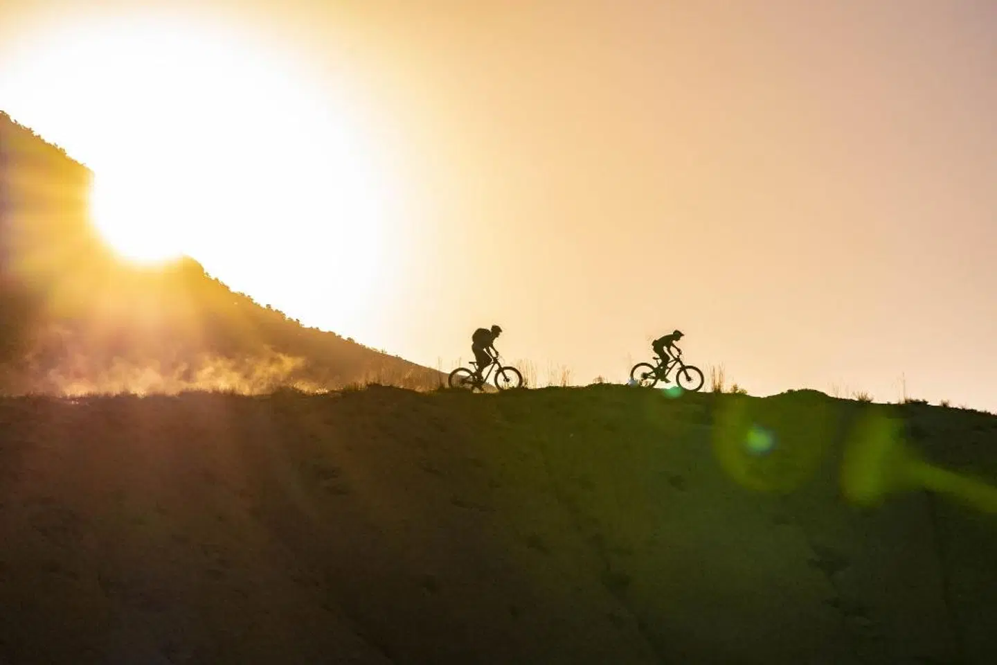 Gravity Haus Winter Park LANDSCAPE