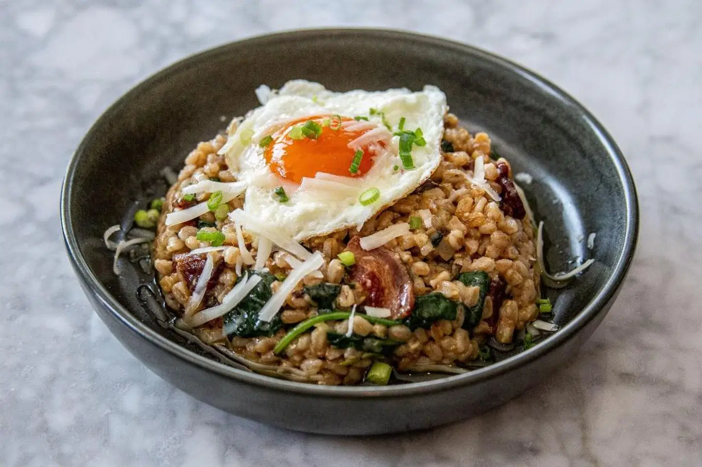 Gravity Haus Winter Park Restaurant