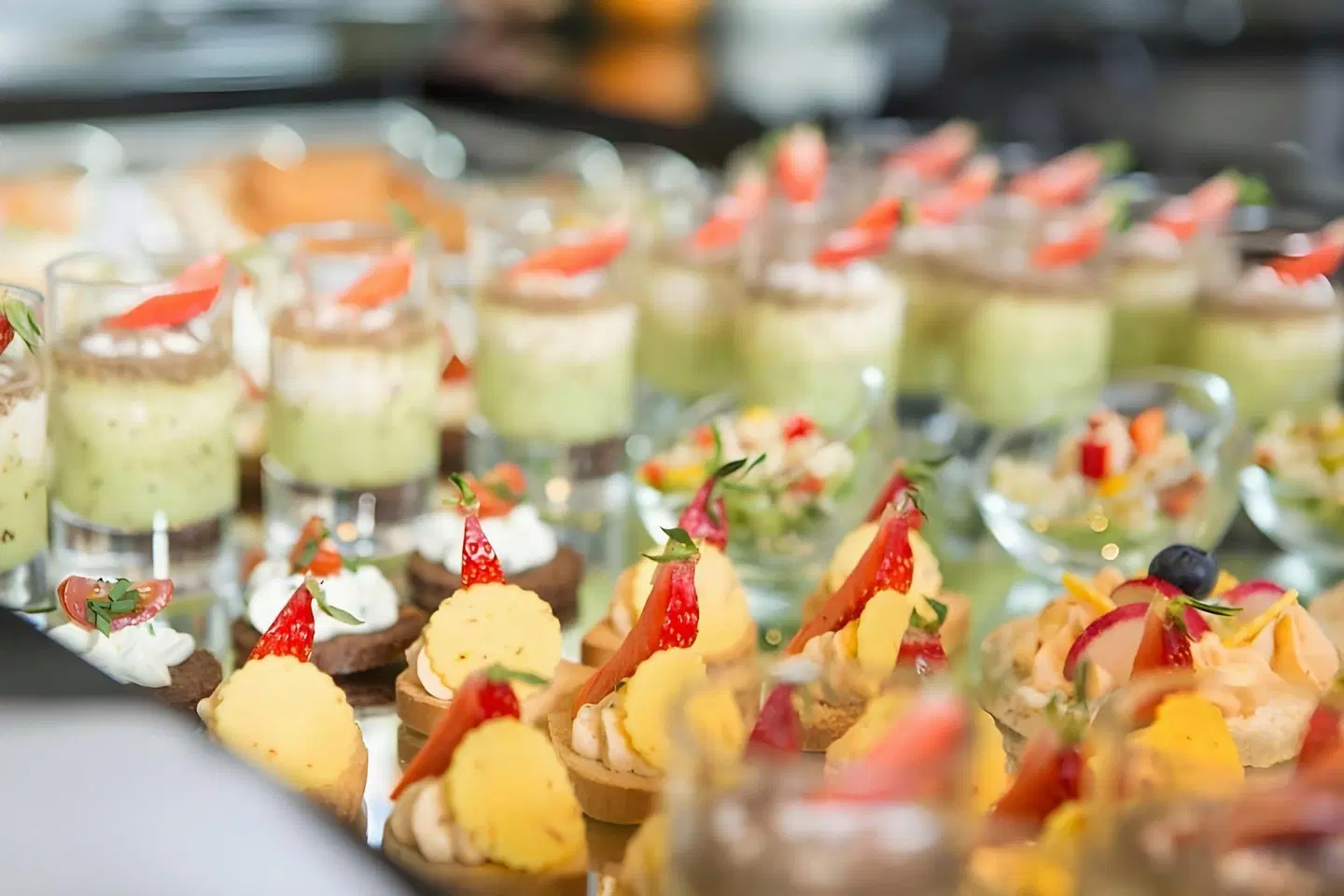 Vier Jahreszeiten Zingst Landkarte