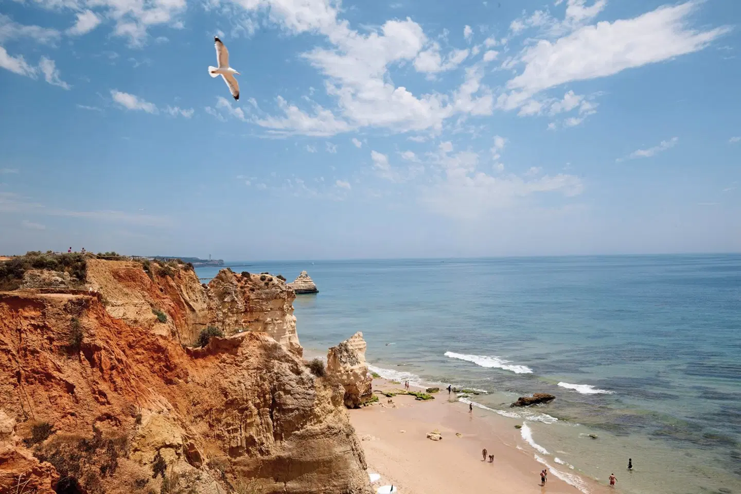 Turim Presidente Hotel LANDSCAPE