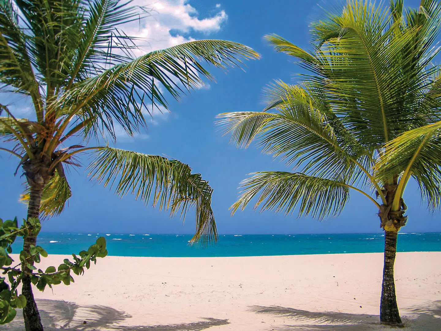 Viva Heavens by Wyndham BEACH