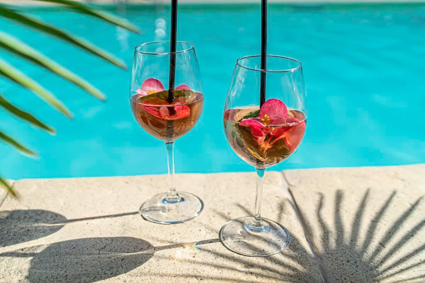 Medusa Splendid HEALTH_BEAUTY