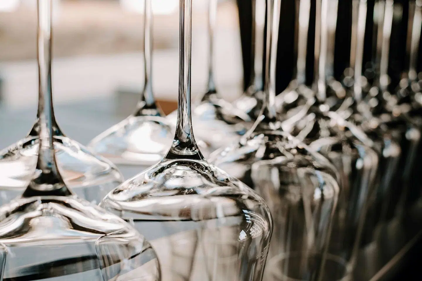 Vienna House Mokotow Warsaw Tiere