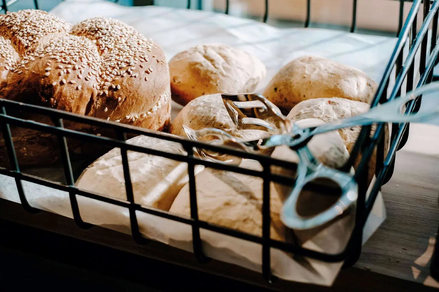 Vienna House Mokotow Warsaw Tiere