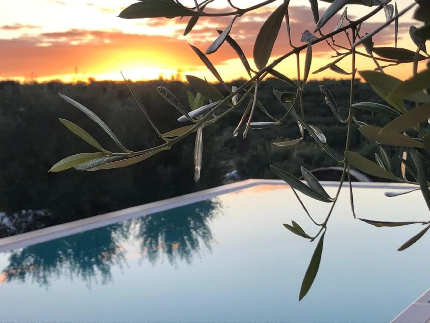 Feudi Mandolivo Hallenbad