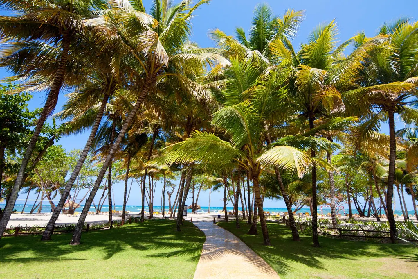 Iberostar Waves Costa Dorada BEACH