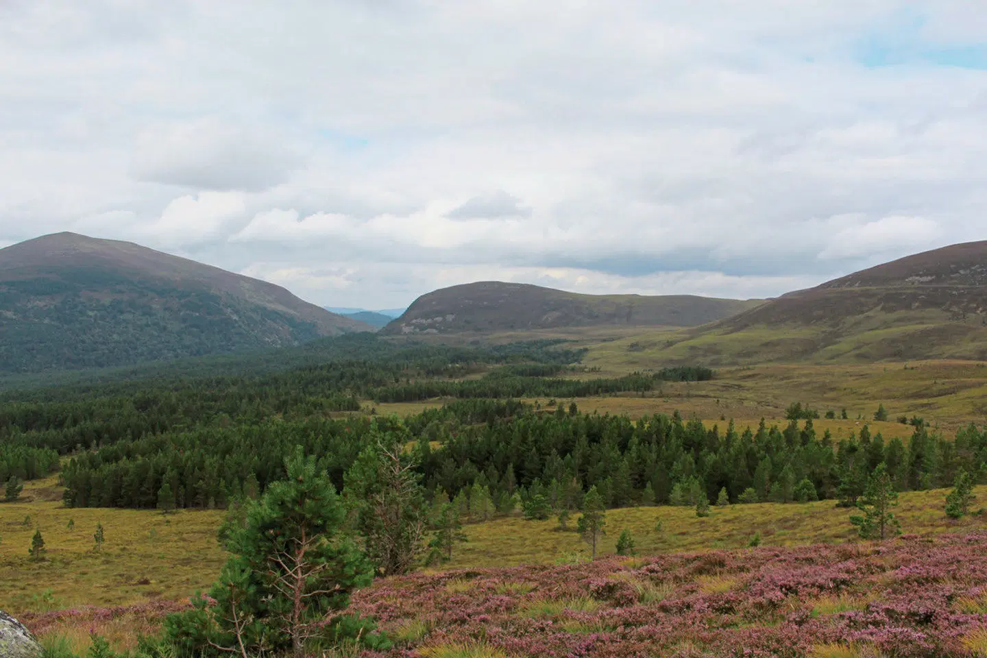 Whiskytour - Speyside LANDSCAPE