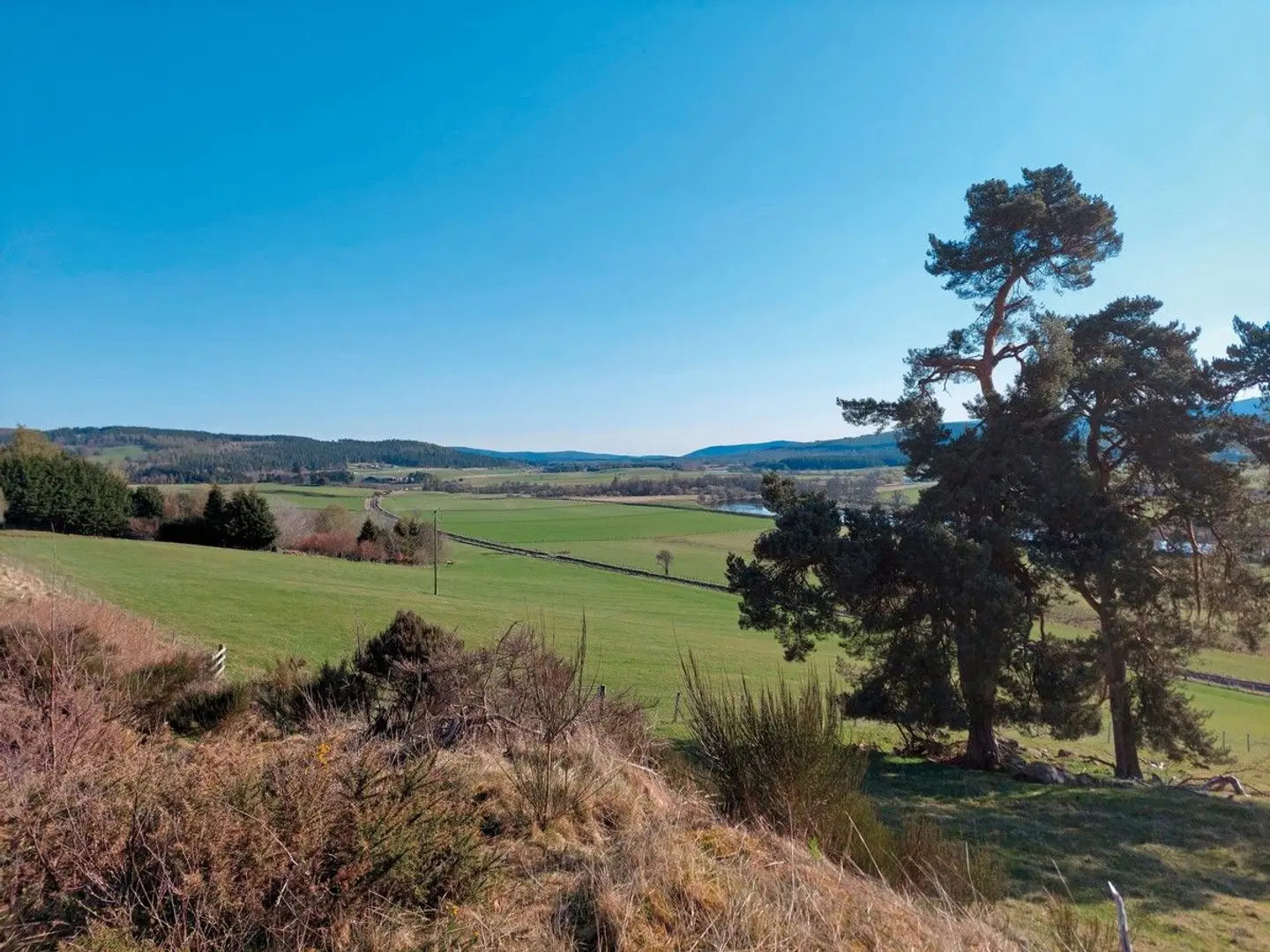 Whiskytour - Speyside Garten