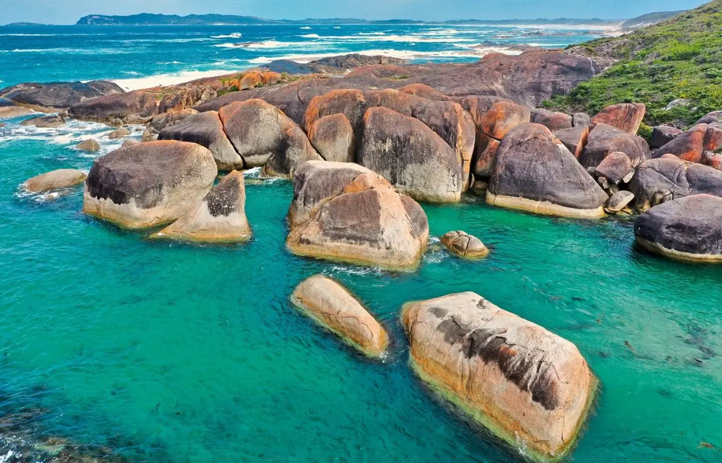 Highlights des Südwestens Tiere