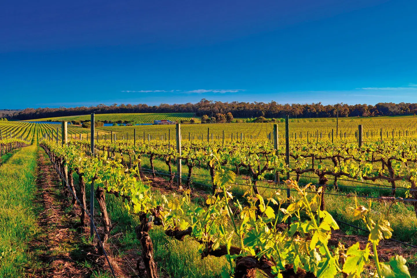 Highlights des Südwestens LANDSCAPE