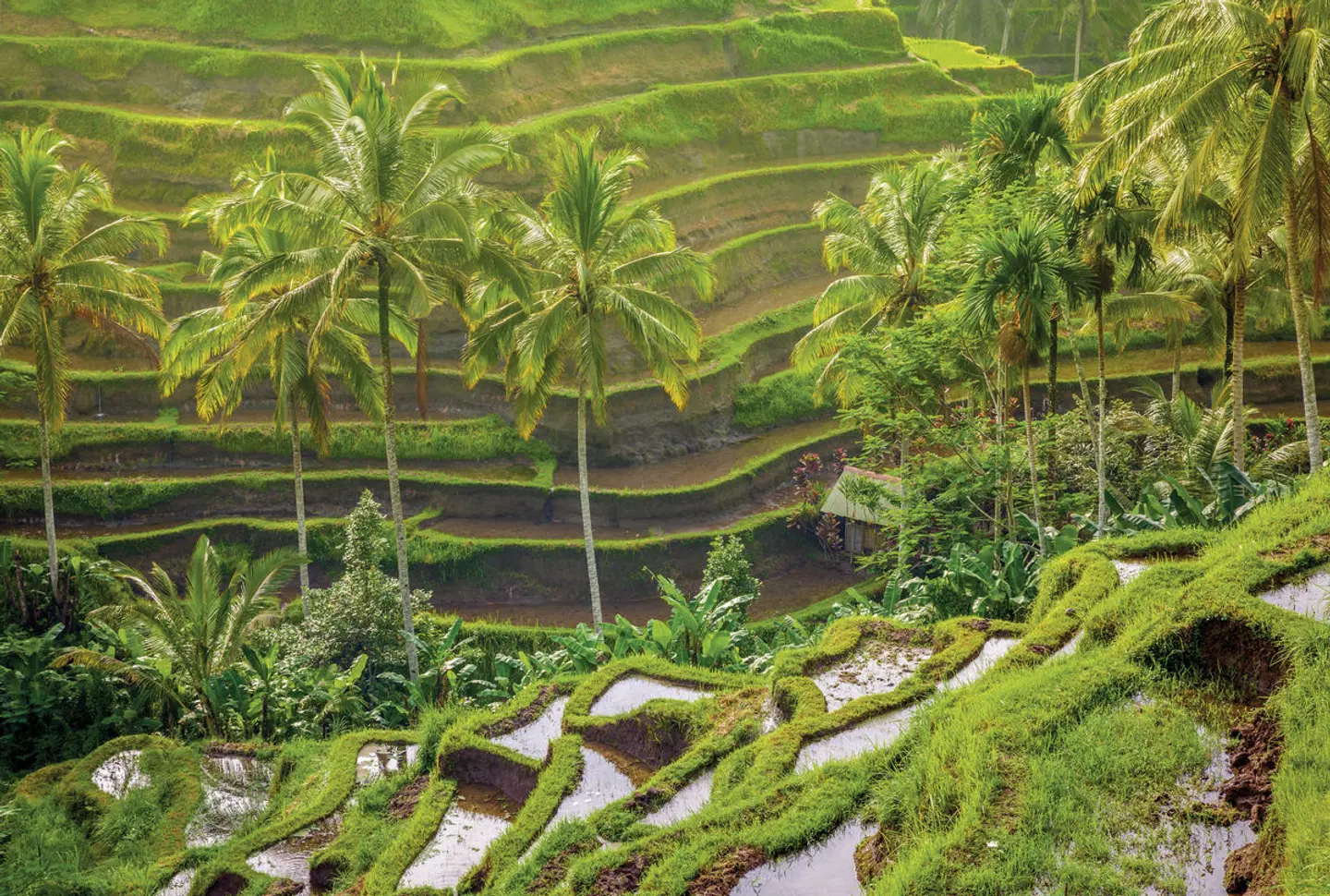 Asienkombination Singapur, Bali und Lombok LANDSCAPE