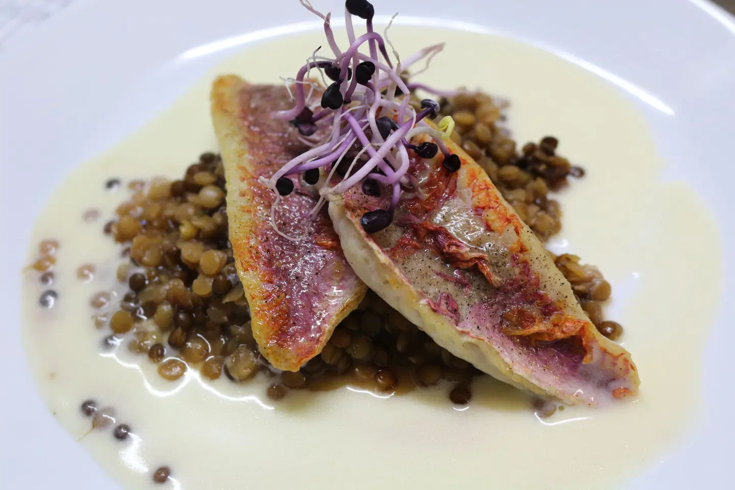 Hotel Hegenbarths Tiere