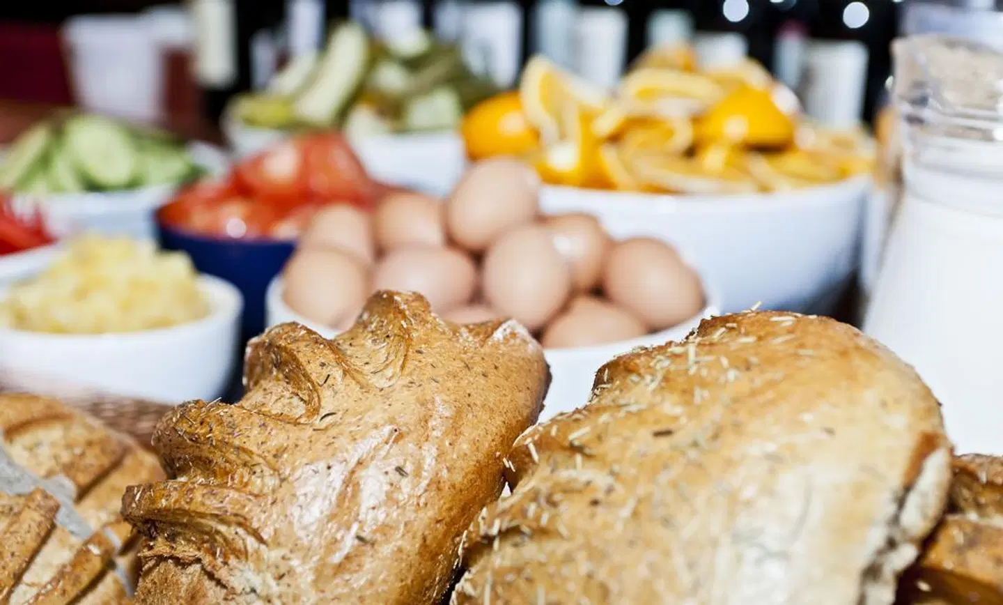 Alva Hotel Brautarholt Tiere