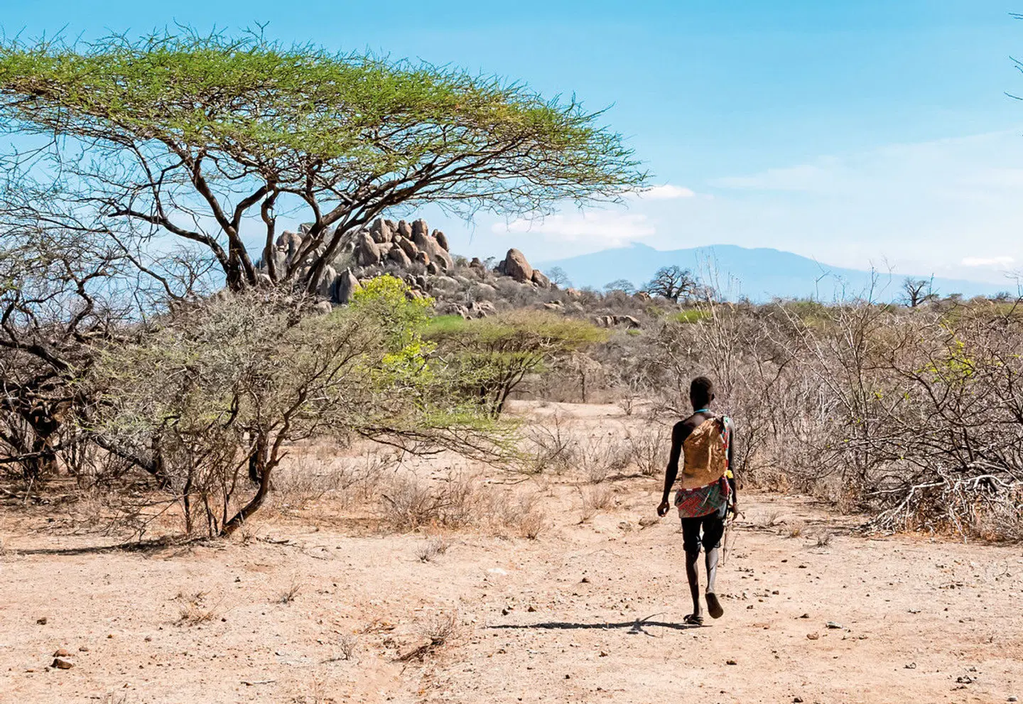 Kultur und Safari LANDSCAPE