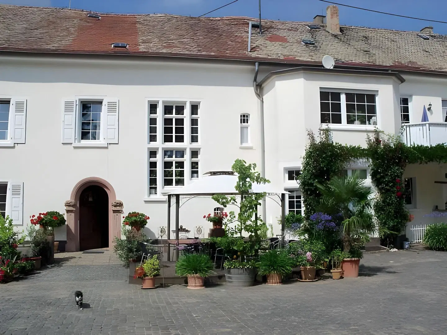 Bio-Weingut, Gastehaus und Krauterhof EXTERIOR