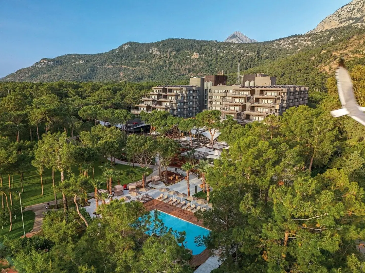 Balmy Foresta EXTERIOR