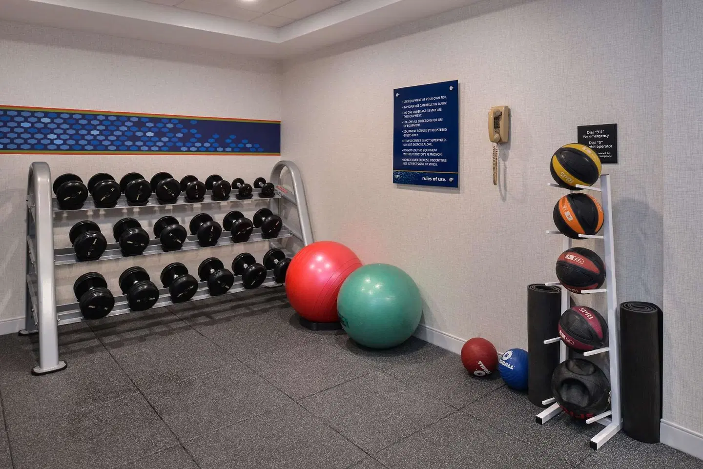 Hampton Inn & Suites Denver-Speer Boulevard SPORTS_AND_LEISURE
