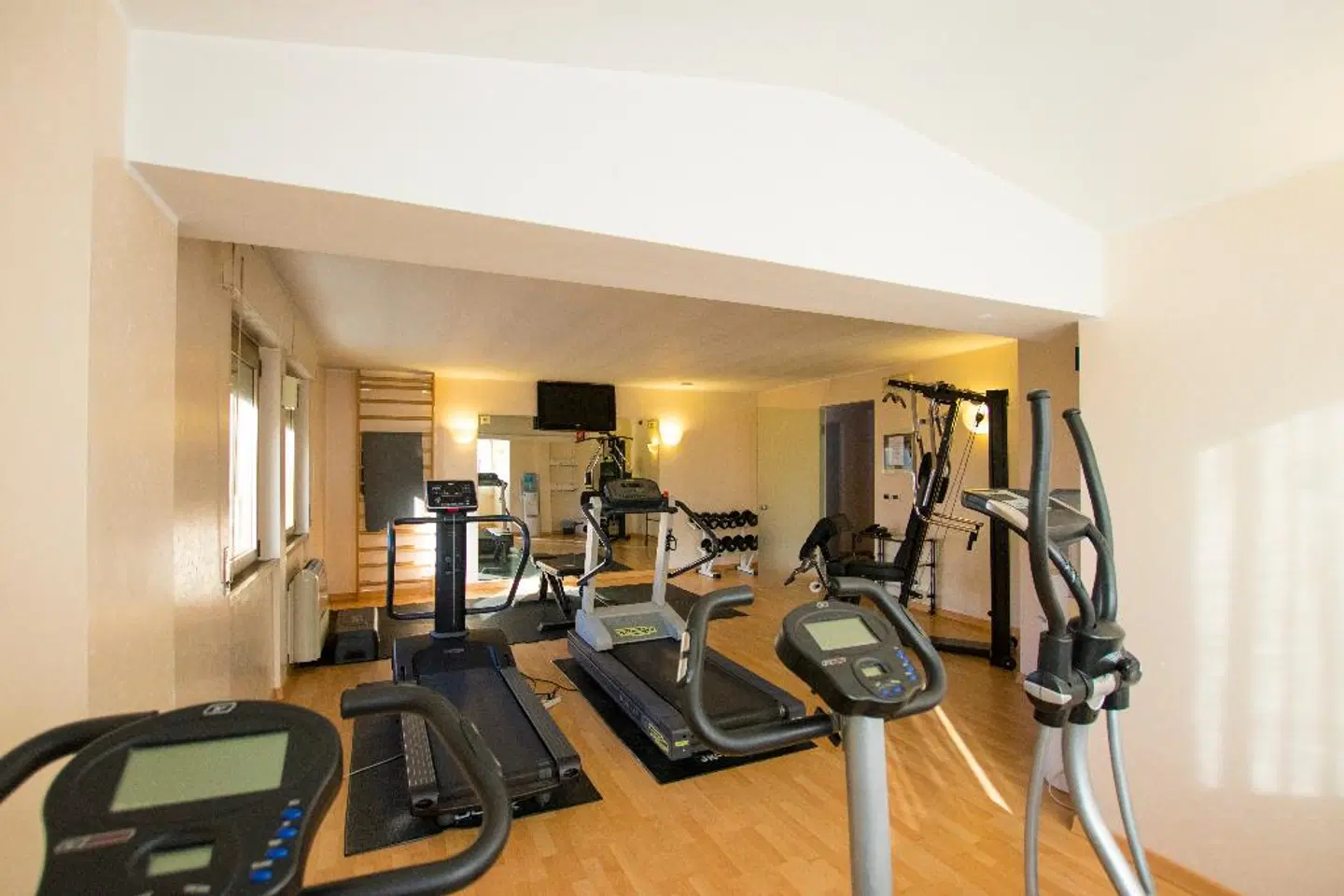 Minerva SPORTS_AND_LEISURE